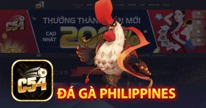 Đá gà philippines